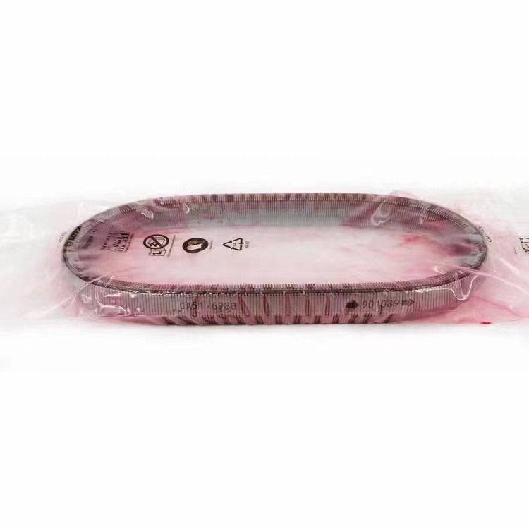 2KG JF017E RE0F10D Cadena de correia da caixa de velocidades para TEANA X Trail QASHQAI 901074 901089 901096
