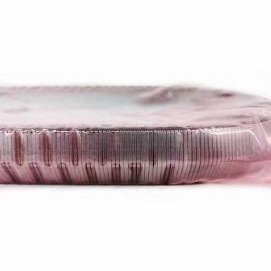 2KG JF017E RE0F10D Cadena de correia da caixa de velocidades para TEANA X Trail QASHQAI 901074 901089 901096